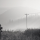 DAYS GONE
